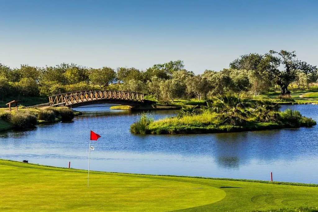 Quinta da Ria – green by the water with the wooden bridge in the background