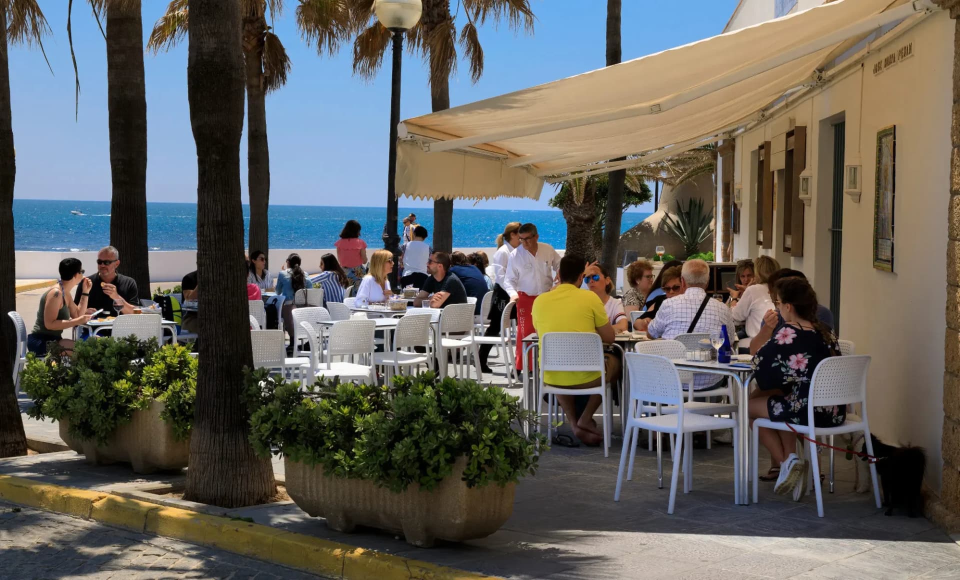 Punta Candor Apartments