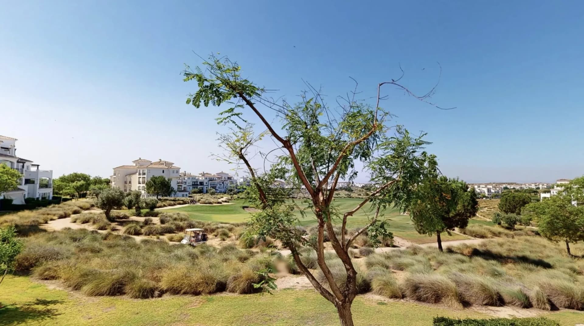Hacienda Riquelme