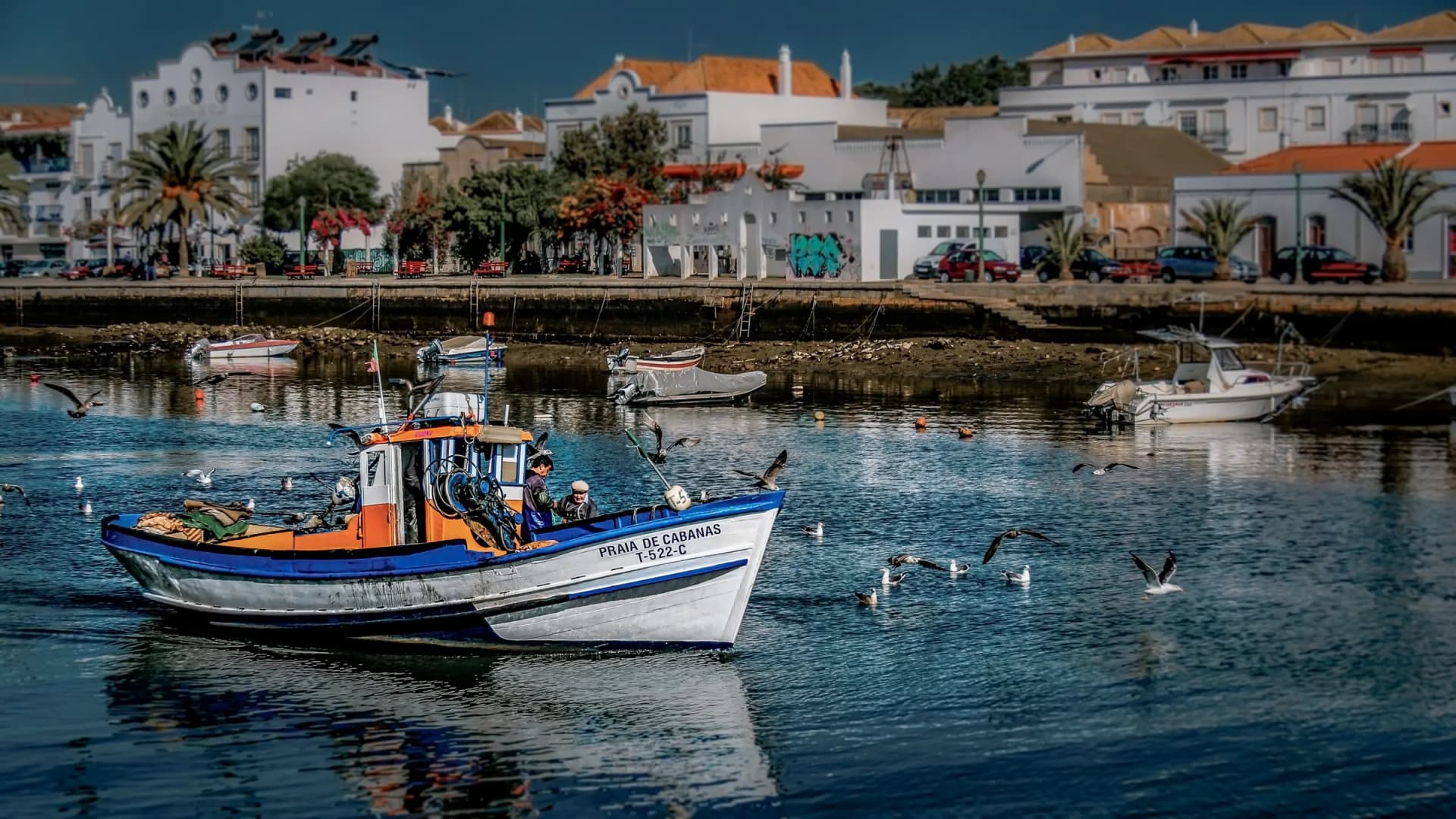 East Algarve Nature